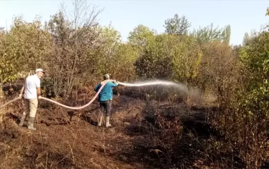Çorum'un Dodurga ilçesinde çıkan yangında 2 dönüm ceviz bahçesinde zarar oluştu