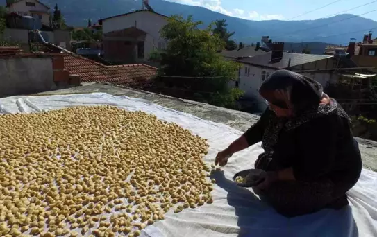 5 asırlık yöntemle hazırlanan tarhanalar damlara serildi