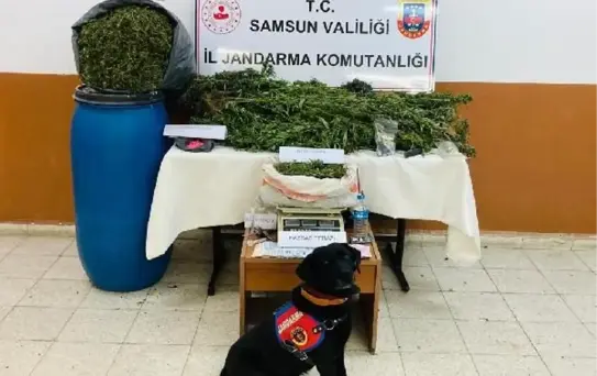 Tekkeköy'de 22 Kilo Esrar Ele Geçirildi