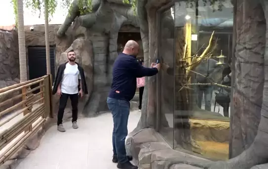 Karadeniz Bölgesi'nde Kuş Parkı açıldı