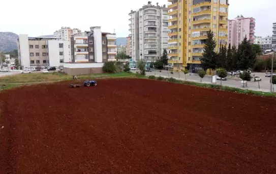 Tarımı milyonlara değişmiyor: Binaların arasında kalan tarlasında üretim yapıyor