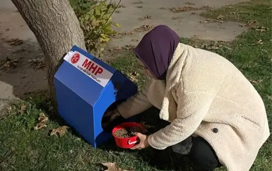Alaşehir'de Sokak Hayvanları İçin Barınaklar Yerleştirildi