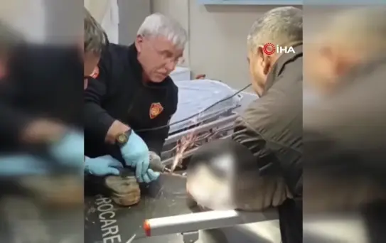 Ayağına demir şiş saplanan işçinin imdadına itfaiye yetişti