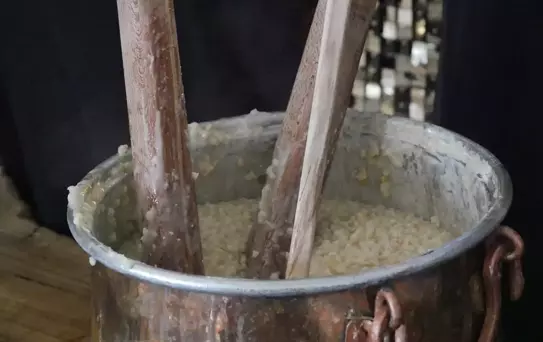 Magazin Gazetecileri Kazdağı Buluşması