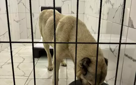Lüleburgaz'da huzurevi sakinlerine doğru nefes alma yöntemleri hakkında bilgi verildi