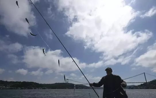 Sarıyer'de Amatör Balıkçılar İstavrit Bolluğu Yaşadı