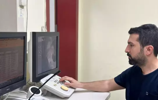 Kalp ve Damar Hastalıkları Dünyada Ölüm Nedenlerinin Başında