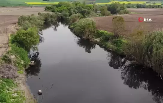 Gönen Çayı'nda kirlilik: Toplu balık ölümleri yaşandı