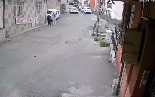 Eyüpsultan'da Yavru Kedi Ezilerek Öldürüldü