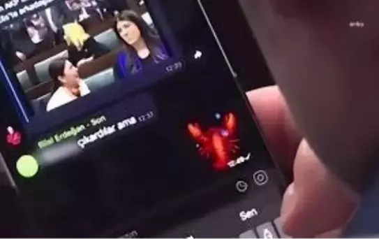 RTÜK, Şebnem Bursalı'ya 'ıstakoz sohbeti' haberinden ceza verdi