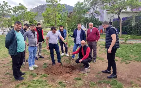 Soma'da hayatını kaybeden madencilerin anısına fidan dikildi