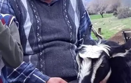 Denizli'de Çoban Tartışması Kanlı Bitti