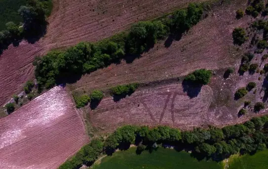 Kahramanmaraş'ta çiftçi, tarlasına 'Gazze' yazarak İsrail'in soykırımına tepki gösterdi