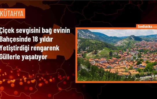 Tavşanlı'da Gül Bahçesi
