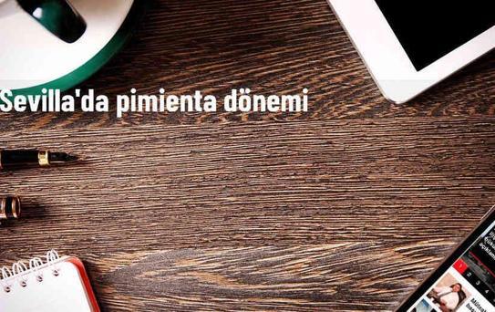 Sevilla, Francisco Javier Garcia Pimienta'yı teknik direktör olarak atadı