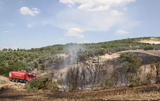 Manisa'da çıkan yangınlarda 50 dönüm alan zarar gördü