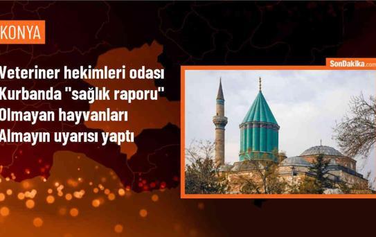 Konya Veteriner Hekimleri Odası Başkanı: Resmi Veteriner Sağlık Raporu Olmayan Hayvanlar Kesilmemeli
