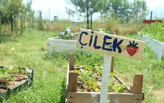 Sakarya'da Ortaokul Öğrencileri Organik Tarım İle Farkındalık Kazanıyor