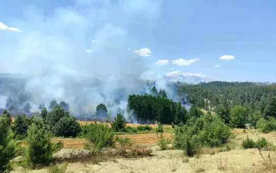 Şehit Piyade Er Gözyaşları İçinde Toprağa Verildi