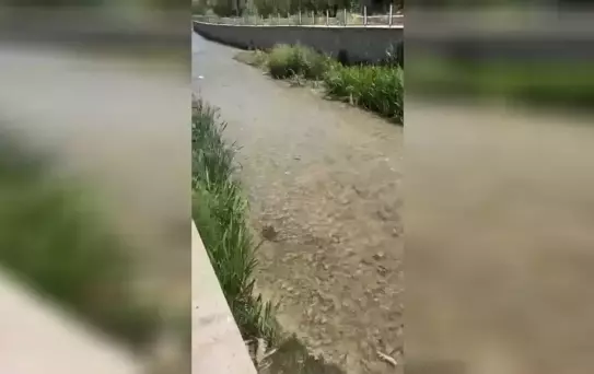 Tohma Çayı'nda Balık Ölümleri İle İlgili CHP'den Soru Önergesi