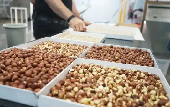 Maksul Gıda iflas etti! Aylardır maaş alamayan 200 çalışan işsiz kaldı