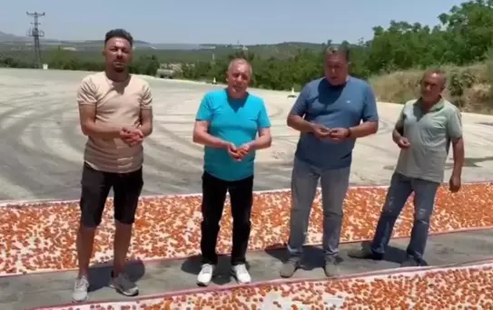 Manisalı Kayısı Üreticisi: 'Bizim Bütün Derdimiz Para Kazanmak Değil, Ülke Ekonomisine Katkı Sağlamak'