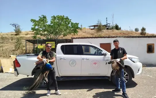 Aksaray'da Yaban Hayvanları Operasyonu: 2 Tavus Kuşu ve 4 Angut Kuşu Ele Geçirildi