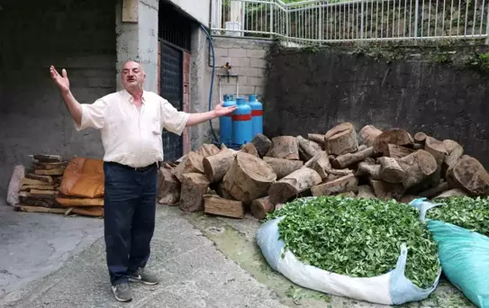 Rize'de Odun Tartışması: Kursa Bağışlanan Odunlar İçin Anlaşmazlık