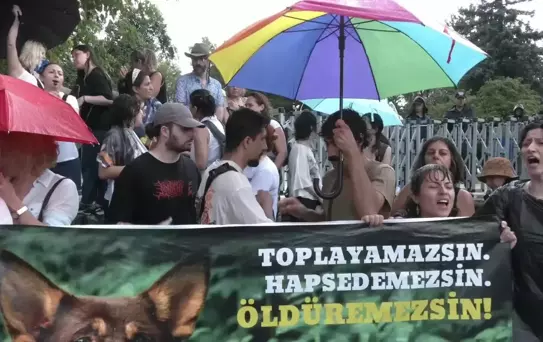 Hayvan Hakları Savunucuları TBMM Önünde Protesto Etti