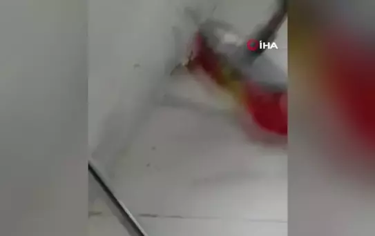 Uzmanlardan 'Sarı kız' örümceğini öldürmeyin uyarısı