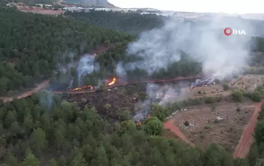 Tokat ormandaki örtü yangını korkuttu