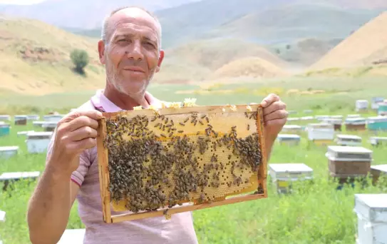 Bodrumlu Arıcı Yüksekova'da Bal Hasadına Hazırlanıyor