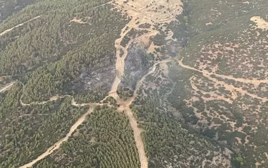 Nazilli'de çıkan orman yangını kontrol altına alındı