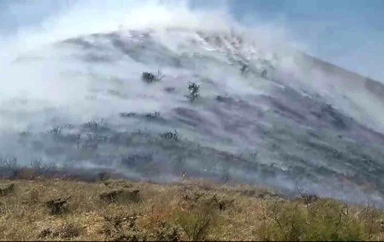 Tunceli'nin Pülümür ilçesinde çıkan yangın kontrol altına alındı