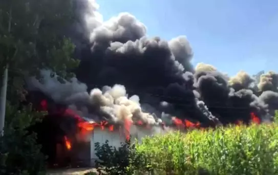Sakarya'da Ahşap Atölyesi Alevlere Teslim Oldu