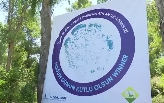 İzmir Doğal Yaşam Parkı'nda Fil Winner'ın 22. Yaş Günü Kutlandı