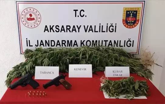 Aksaray'da Yasa Dışı Kenevir Ekimi ve Uyuşturucu Ticareti Operasyonu