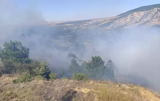 Konya'nın Doğanhisar ilçesinde ormanlık alanda çıkan yangın söndürüldü