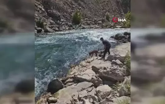 Irmakta kaybolan genci arama çalışmaları sürüyor