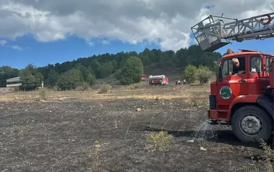 Tokat'ın Reşadiye ilçesinde ot yangını: 2 dönüm alan zarar gördü