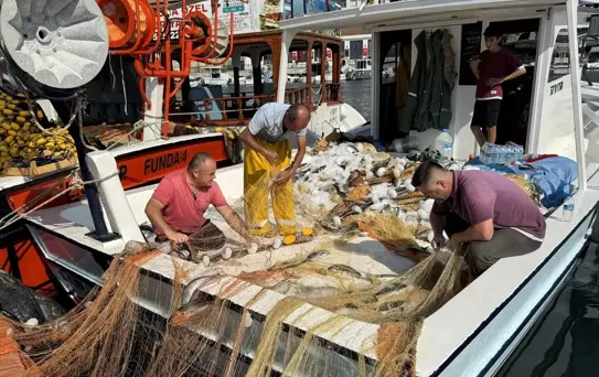 Sinop'ta Balıkçılar, Av Sezonuna Bol Miktarda Palamutla Başladı