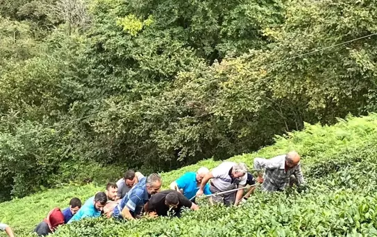 Rize'de çay toplarken uçuruma yuvarlandı, yaralandı
