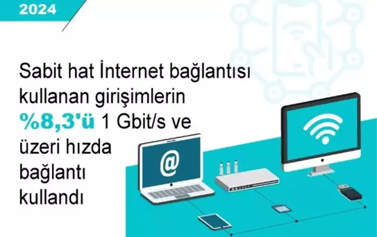 2024'te Girişimlerin Yüzde 35,2'si İnternetten Toplantı Yaptı