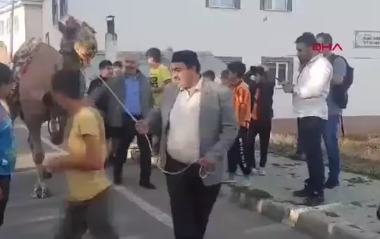Mevlit Kandili'nde Kurbanlık Deve Sürprizi