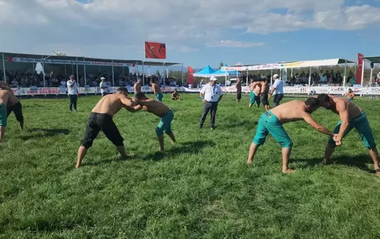 Suluova'da Karakucak Güreşleri Düzenlendi
