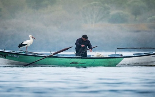 Yaren Leylek Filmi Vizyona Giriyor