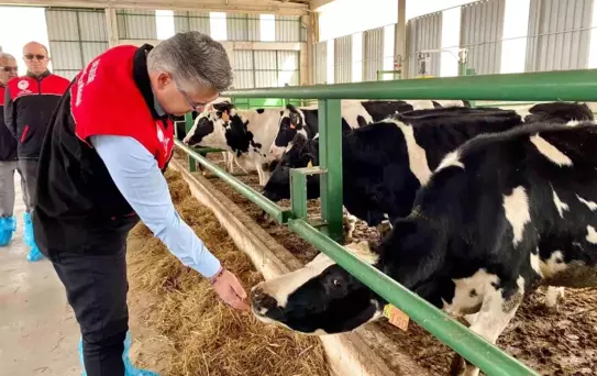 Balıkesir'de Hastalıktan Ari Hayvancılık Artıyor