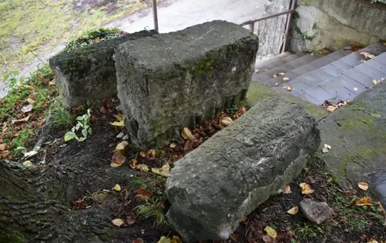 Fatsa'da 1800 Yıllık Mil Taşı Keşfedildi