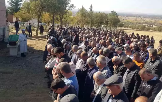 Denizli'de Arı Sokması Sonucu Ölüm