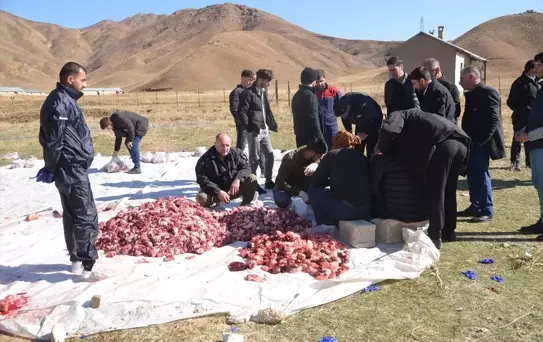Yüksekova'da Kurban Eti İhtiyaç Sahiplerine Dağıtılıyor